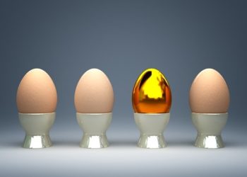 “Egg Ready” – o lado do ovo que quer ser estrela