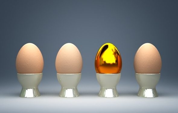“Egg Ready” – o lado do ovo que quer ser estrela