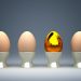 "Egg Ready" - o lado do ovo que quer ser estrela 5 “Egg Ready” – o lado do ovo que quer ser estrela