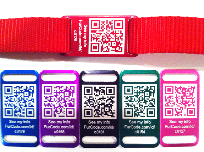 FurCode – a tecnologia ao serviço dos nossos pets