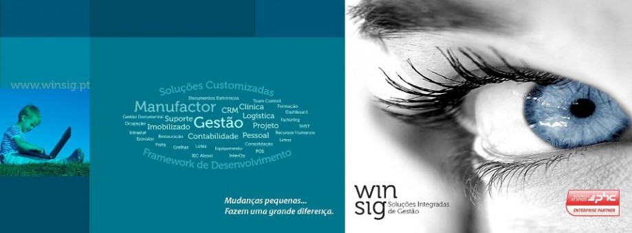 Winsig com crescimento de 20% em 2012