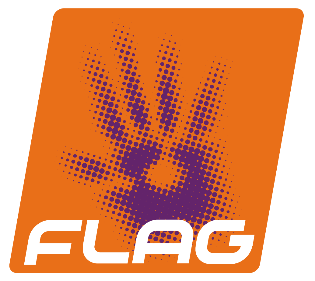 FLAG ASSOCIA-SE AOS “YOUNG LIONS 2013”