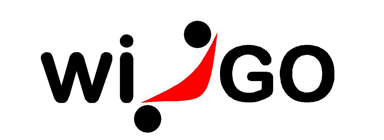 O Wi-Go só precisa dos nossos votos