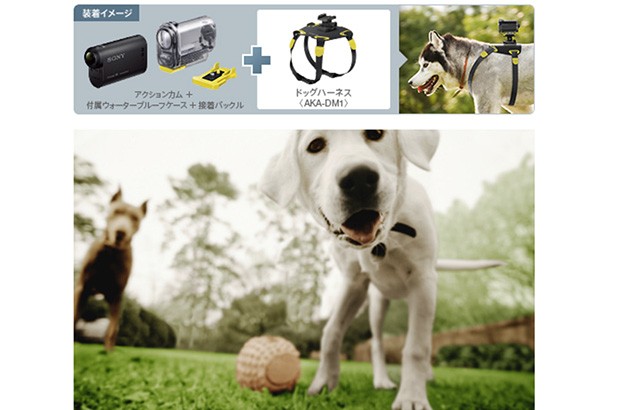 Sony Action Cam com mais acessórios e novo firmware