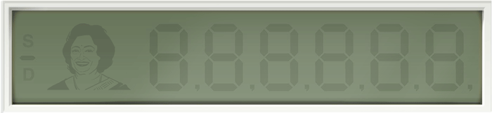 shakuntala devis 84th birthday 5315657683959808 hp