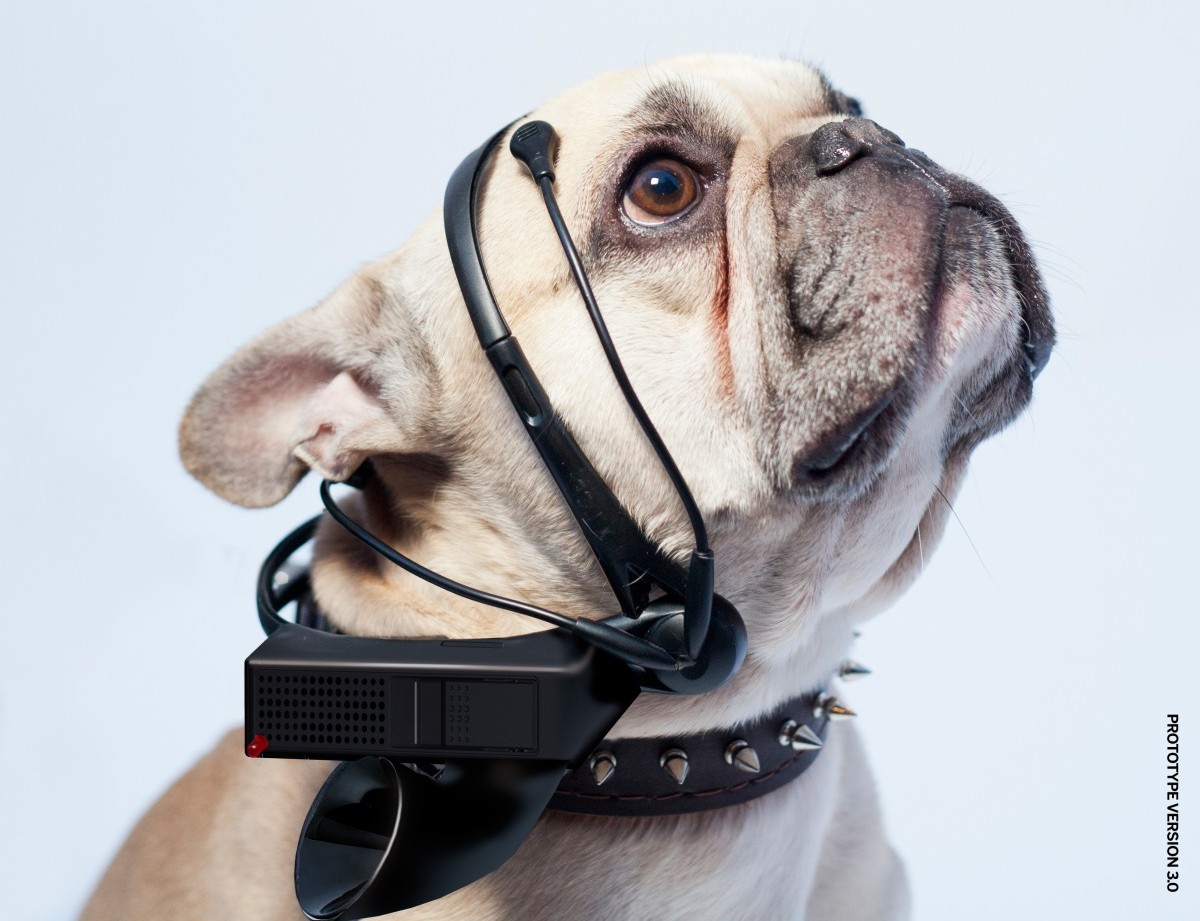 Tradutor de canês? Ou será canídês?