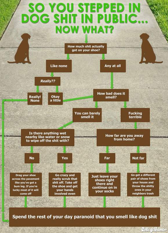 O Pokémon Go e o cocó de cão