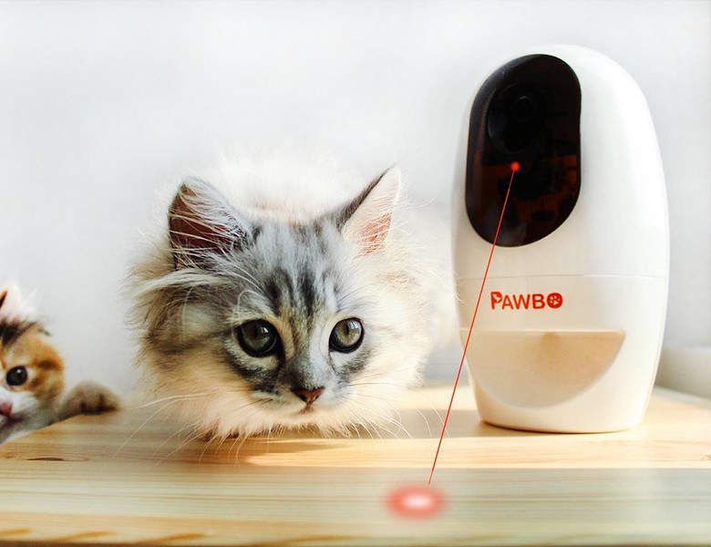 Pawbo+, a câmara que liga os donos aos seus animais, também permite brincar e oferecer guloseimas