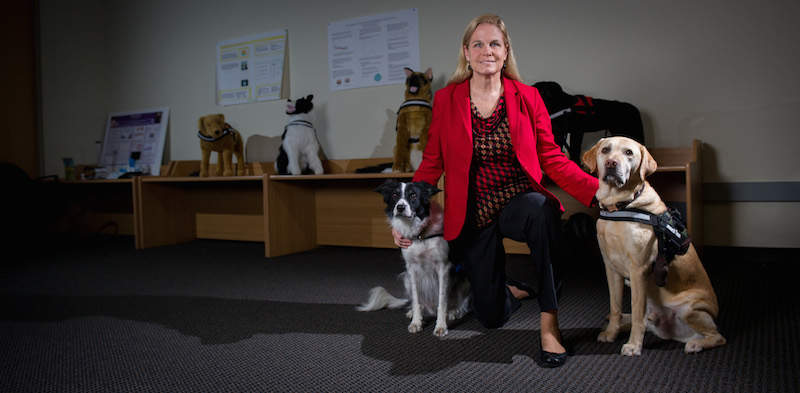 Projecto FIDO ajuda animais a interagir com quem deles mais precisa