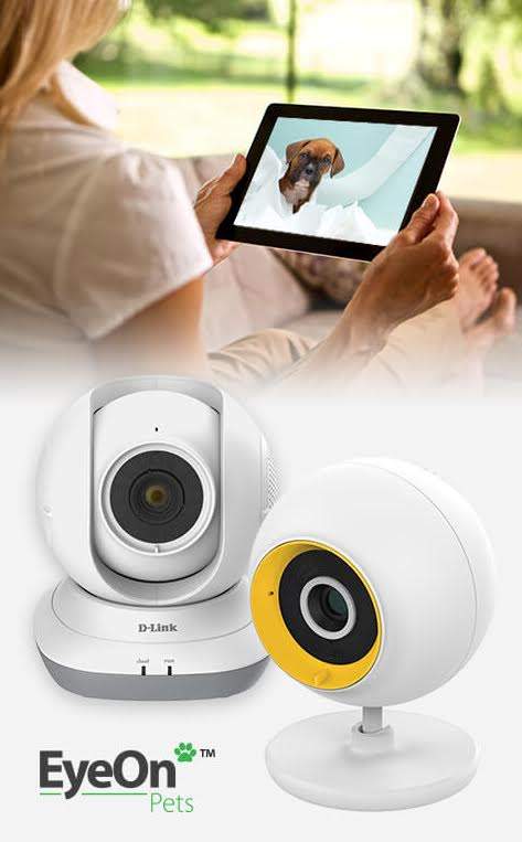 Saiba o que o seu pet faz quando fica sózinho em casa