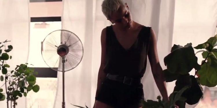 Canon procura contador de histórias e oferece um ano inteiro de viagens e experiências 1 Canon procura contador de histórias e oferece um ano inteiro de viagens e experiências