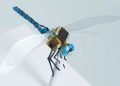 DragonflEye, a libelinha cibernética que vai mudar o mundo