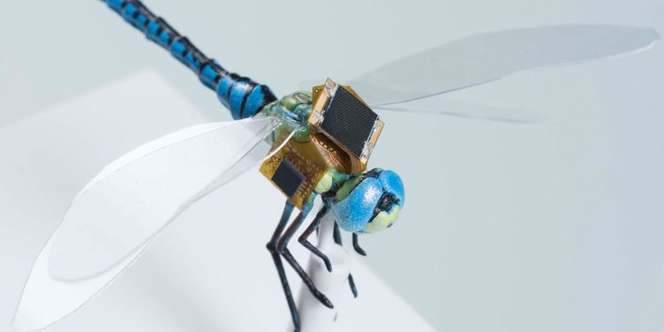 DragonflEye, a libelinha cibernética que vai mudar o mundo 1 DragonflEye, a libelinha cibernética que vai mudar o mundo