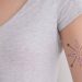 A diabetes pode vir a ser monitorizada através de tatuagens 3 A diabetes pode vir a ser monitorizada através de tatuagens