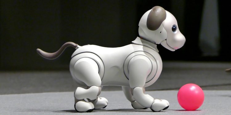 aibo