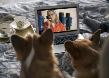 Portugueses fazem maratonas Netflix acompanhados pelos seus animais de estimação