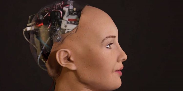 MEO e Huawei juntos no Web Summit à procura de uma ideia com futuro 1 sophia-robot