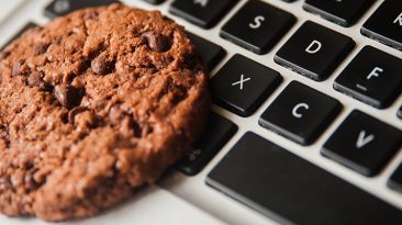 computer cookies adobe