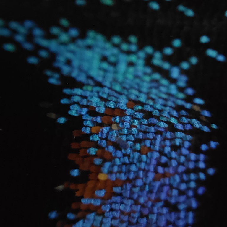 Microlens butterfly 1