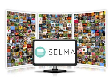 Priberam SELMA