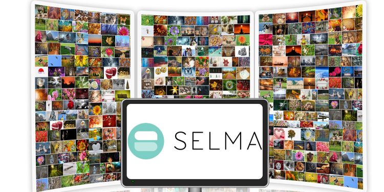 Priberam SELMA