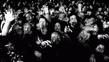 Black Friday gif