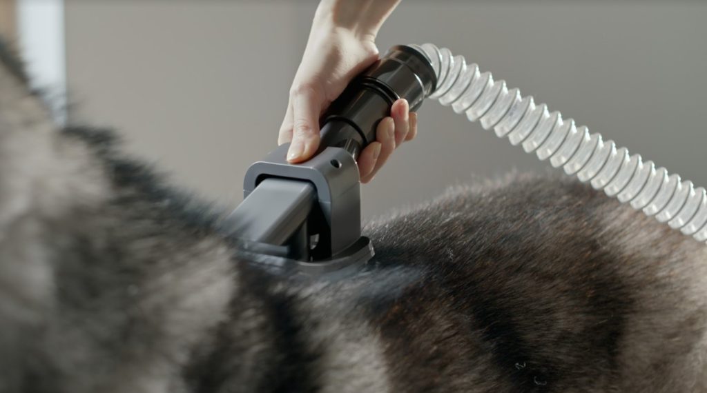 Os pelos dos animais emaranham-se no aspirador? A Dyson resolve. 2 Dyson anto-emanharamento pelos