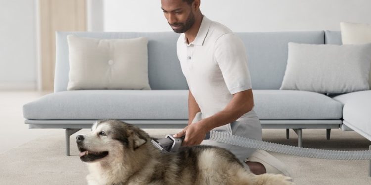 Os pelos dos animais emaranham-se no aspirador? A Dyson resolve. 1 Dyson anto-emanharamento pelos