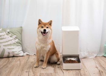 Xiaomi Smart Pet Fountain e Xiaomi Smart Pet Food Feeder