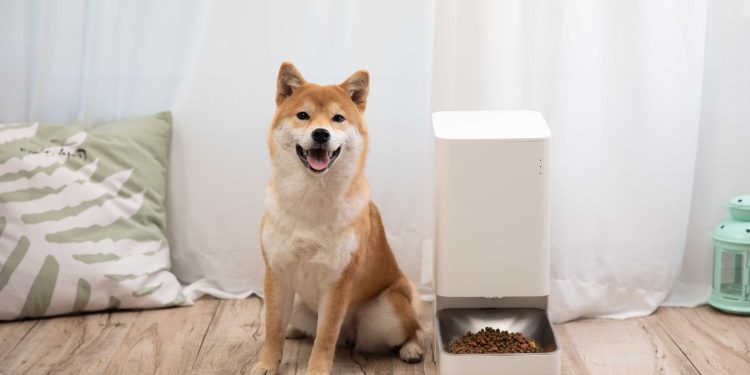 Mime o seu pet: o Xiaomi Smart Pet Food Feeder e a Xiaomi Smart Pet Fountain estarão em promoção no lançamento 1 Xiaomi Smart Pet Fountain e Xiaomi Smart Pet Food Feeder