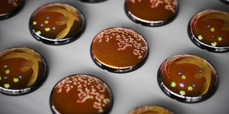 audio technica ATH-W2022