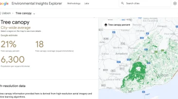Google Lisbon-Portugal-Tree-Canopy