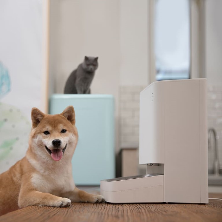 Xiaomi Smart Pet Food Feeder Usage Scenario 1