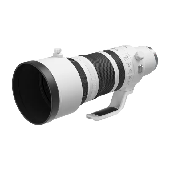 Canon RF 100-300mm F2.8L IS USM