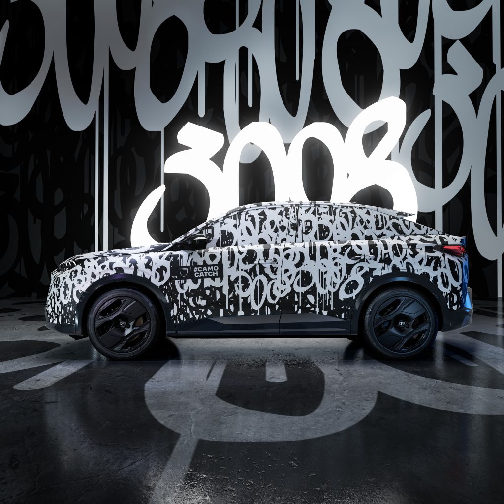 3008 CAMOCATCH PAINT 1 1A