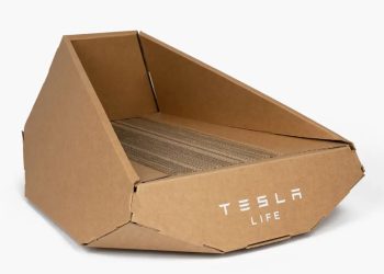Tesla cama de gato