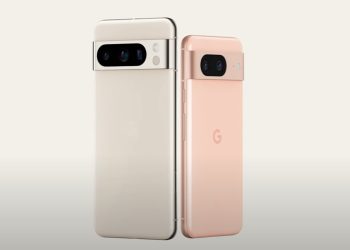 Pixel 8 vs Pixel 8 Pro Official Imagery