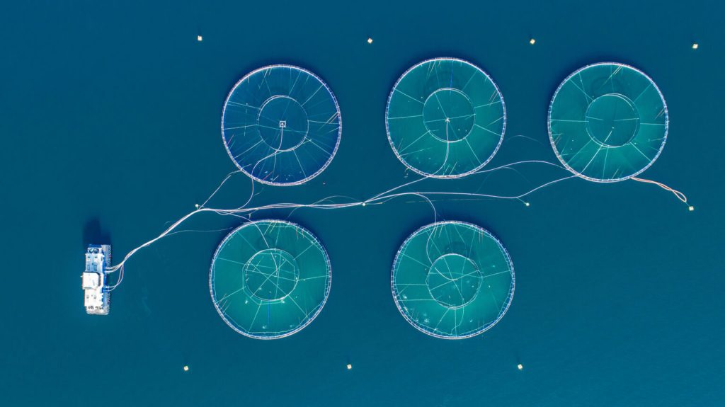 Oceanbox Salmon fish farm Hordaland 1536x863 1