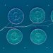 Oceanbox.io desvenda os segredos do mar com as soluções HPC da Lenovo 2 Oceanbox.io desvenda os segredos do mar com as soluções HPC da Lenovo