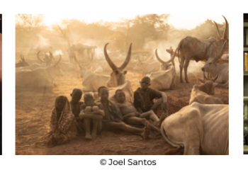 James Dyson Award 2023: estes são os vencedores 2023