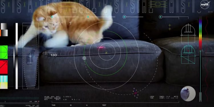 Transmissão via Laser: NASA envia vídeo de gato a uma distância recorde 1 Transmissão via Laser: NASA envia vídeo de gato a uma distância recorde