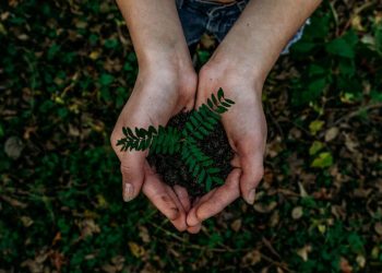 TP-Link reforça compromisso com a sustentabilidade e inovação ecológica