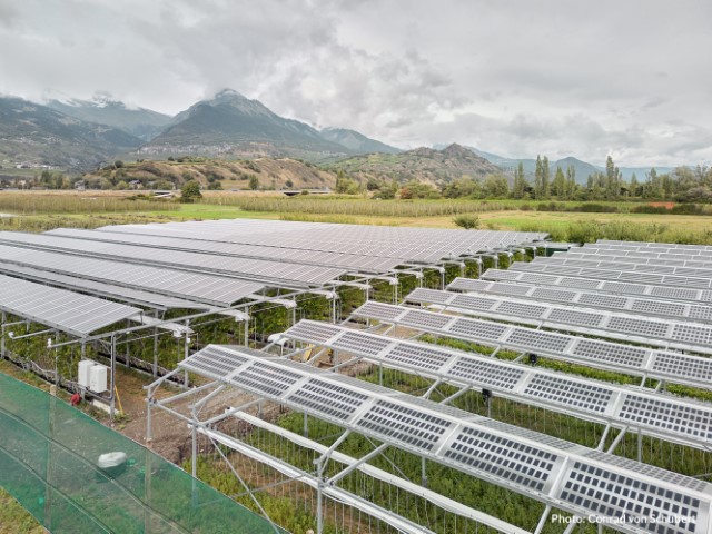 Eaton e Insolight exploram futuro da agricultura sustentável 2 Eaton