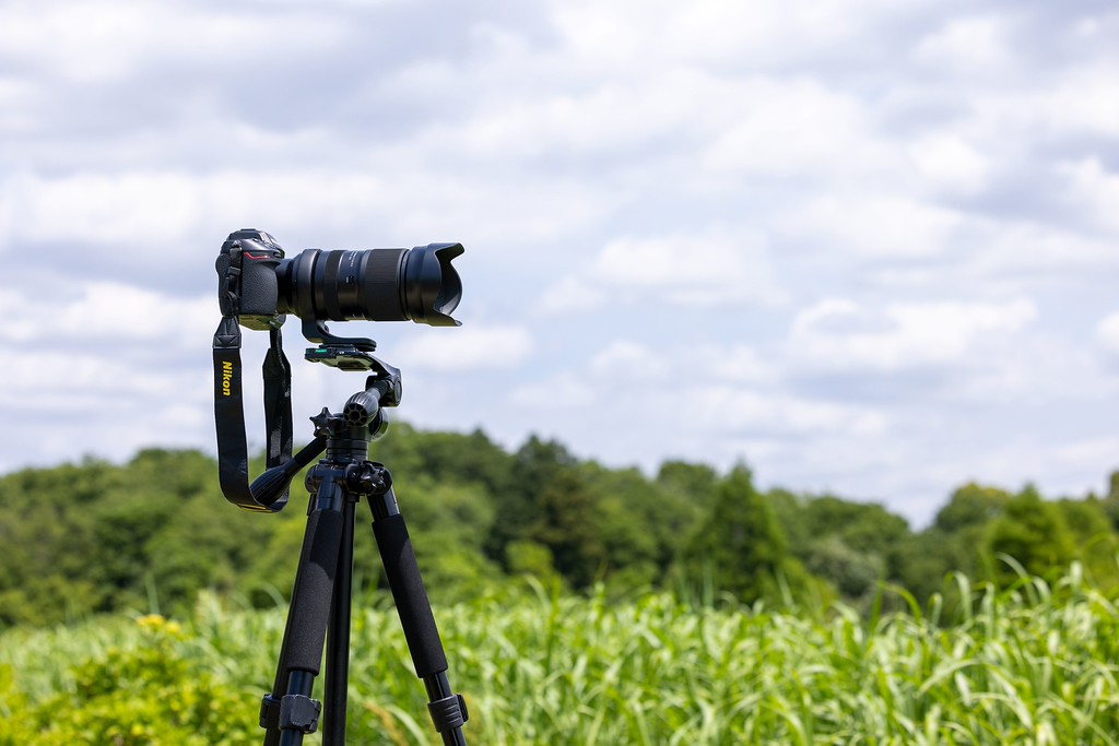 a067z yakumo lifestyle7 20240703 XL