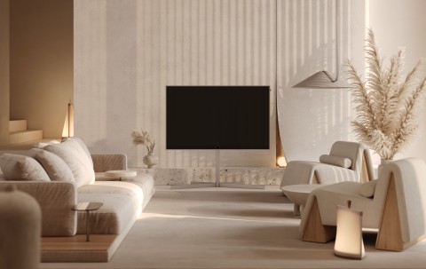 Loewe Stellar lifestyle 2 no branch