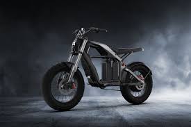 Segway Xyber b 1