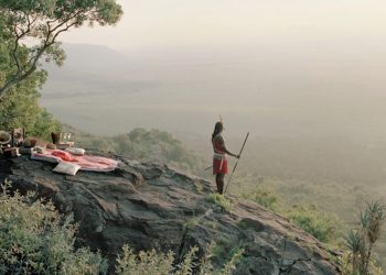 Sony World Photography Awards: eis vencedores globais 2025