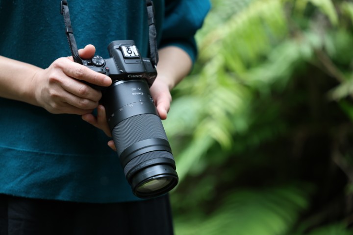 Canon RF 75 300mm F4 5.6