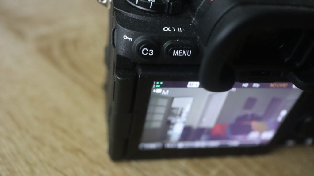 Analise Sony α1 II FE 24 70mm f2.8 GM II h