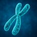 Ciência: CRISPR remove cromossoma extra da síndrome de Down 5 Ciência: CRISPR remove cromossoma extra da síndrome de Down